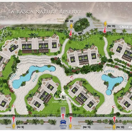 Jardines - Tajaste 2,4 Nature Reserve View Hébergement de vacances Palm-mar